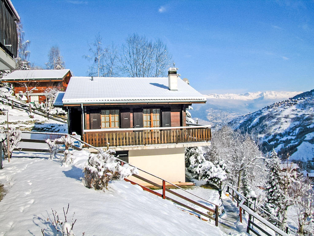Chalet Puck