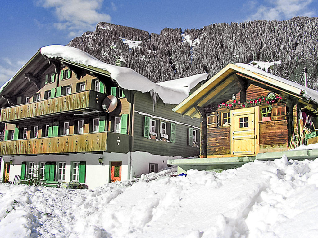 Chalet Auf dem Vogelstein