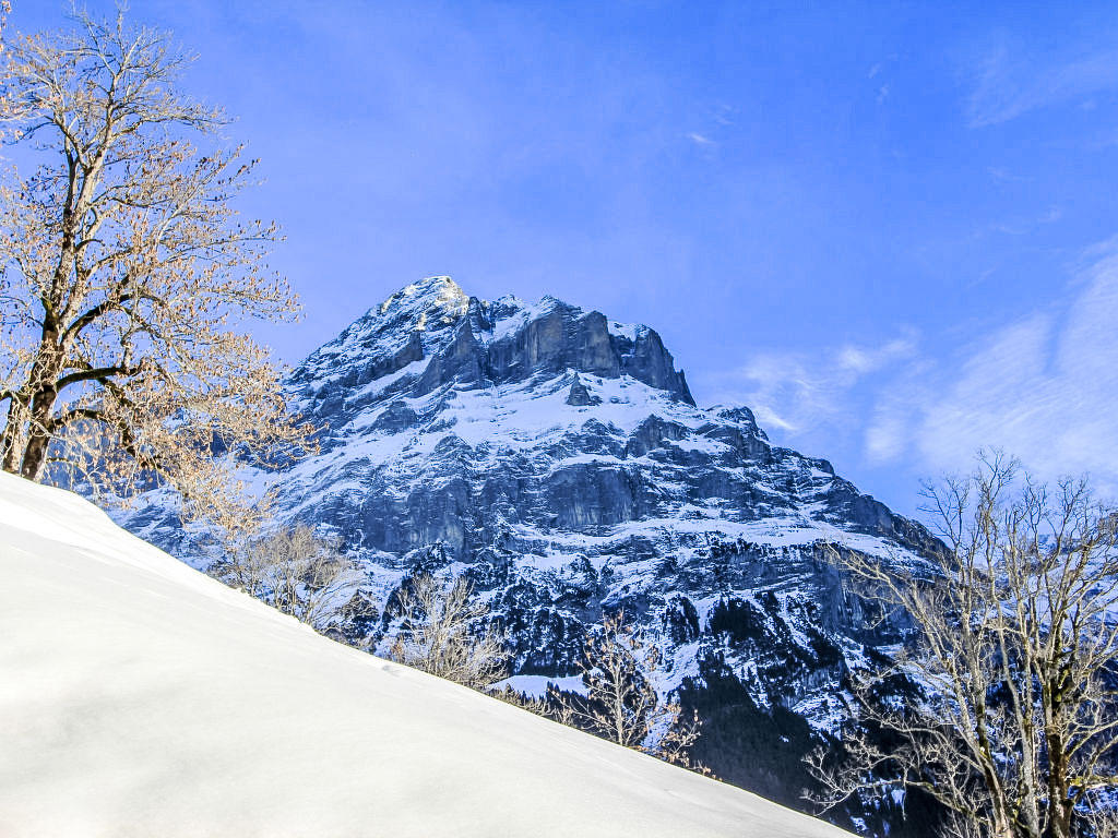Chalet Albi