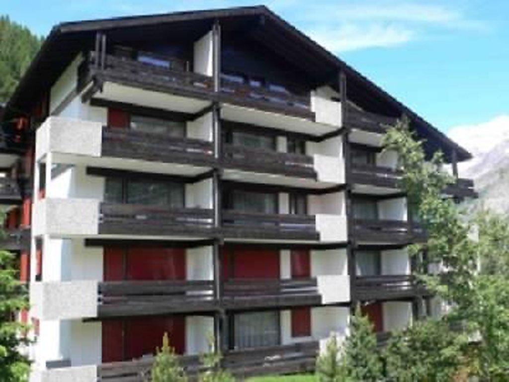 Amici 20