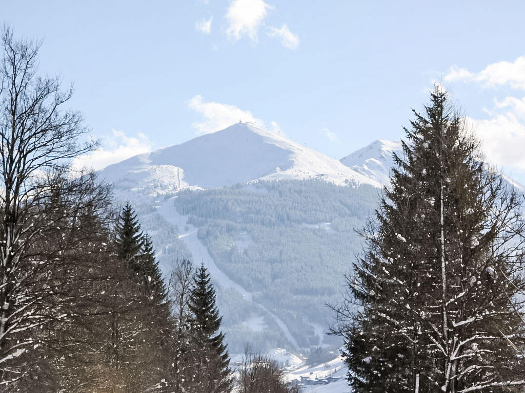 Hasennest
