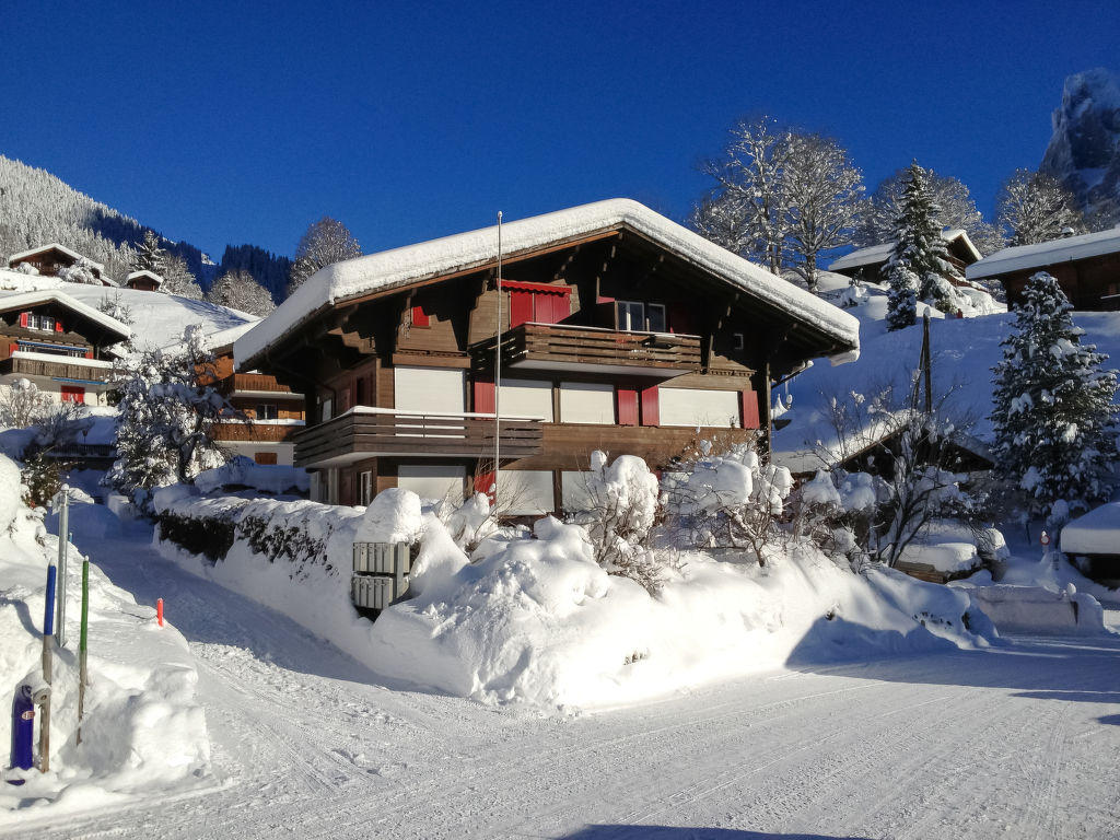 Chalet Bergfink