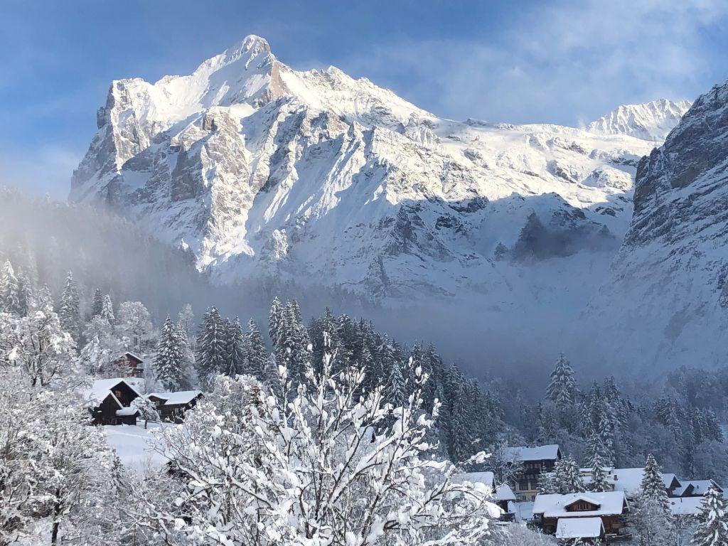 Chalet Shangri La