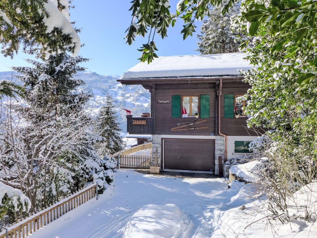 Chalet Tannengüetli