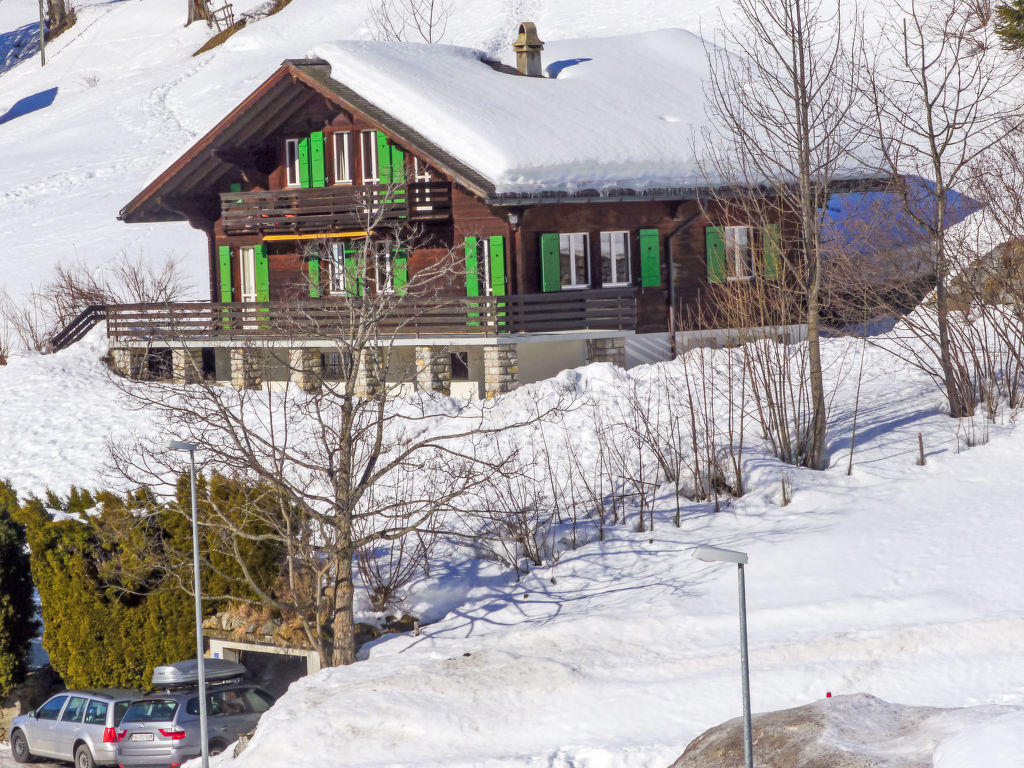 Chalet Pitschun