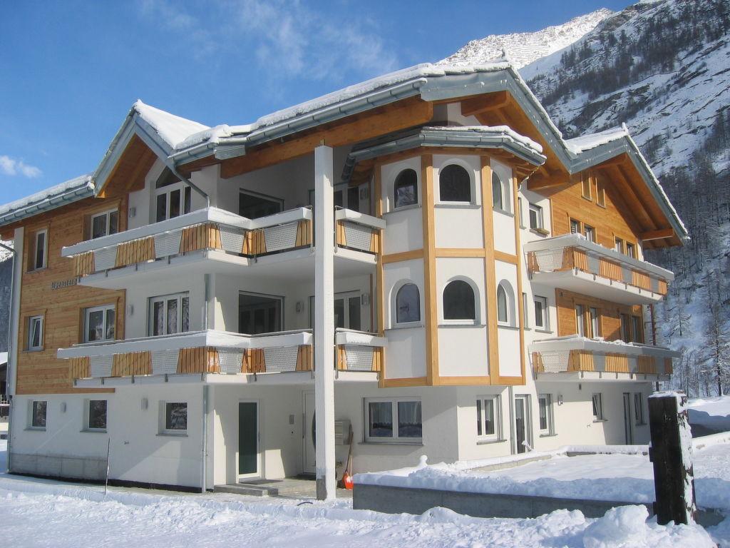 Alpenstern Aelpi